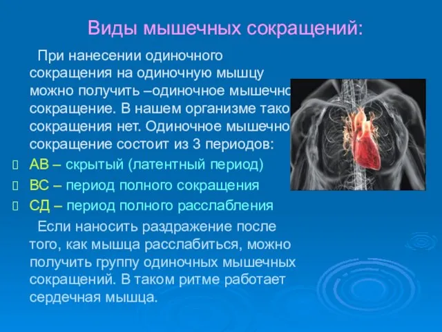 Виды мышечных сокращений: При нанесении одиночного сокращения на одиночную мышцу можно