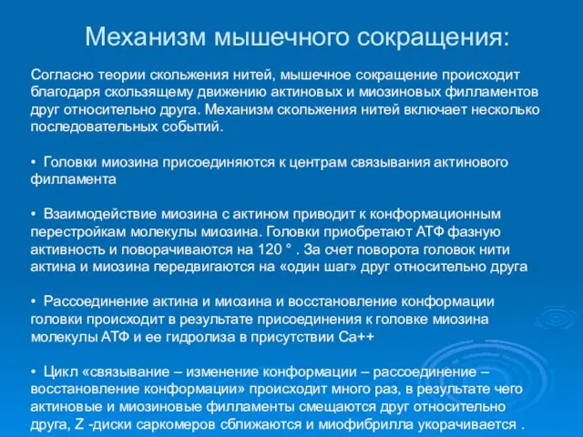 Механизм мышечного сокращения: Согласно теории скольжения нитей, мышечное сокращение происходит благодаря