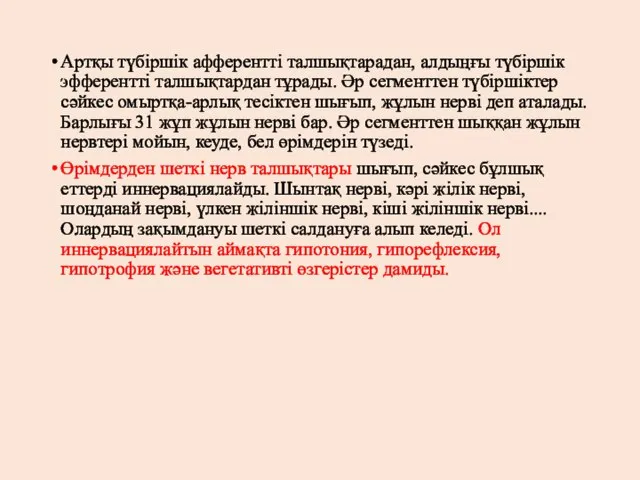 Артқы түбіршік афферентті талшықтарадан, алдыңғы түбіршік эфферентті талшықтардан тұрады. Әр сегменттен