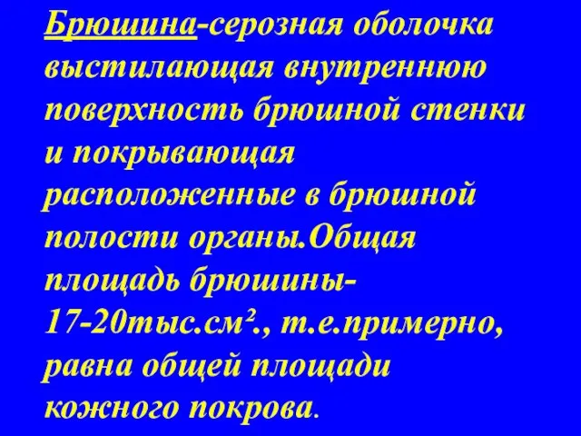 Брюшина-серозная оболочка выстилающая внутреннюю поверхность брюшной стенки и покрывающая расположенные в