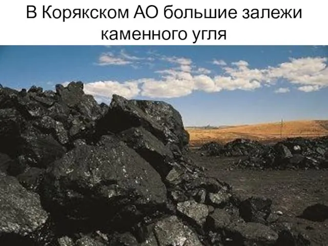 В Корякском АО большие залежи каменного угля