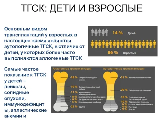 ТГСК: ДЕТИ И ВЗРОСЛЫЕ Основным видом трансплантаций у взрослых в настоящее