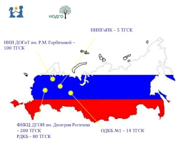 ФНКЦ ДГОИ им. Дмитрия Рогачева – 200 ТГСК РДКБ – 80