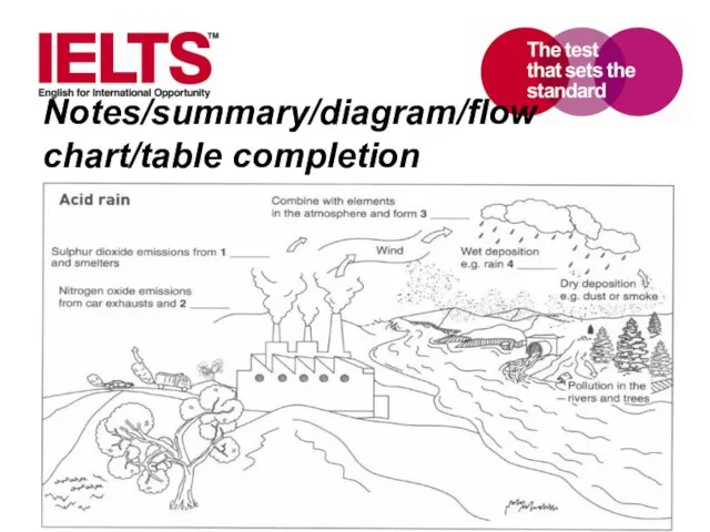 Notes/summary/diagram/flow chart/table completion