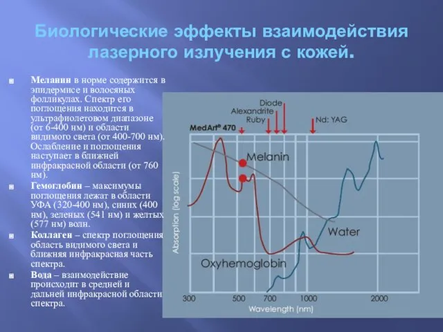 Биологические эффекты взаимодействия лазерного излучения с кожей. Меланин в норме содержится