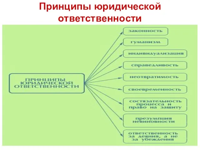 Принципы юридической ответственности