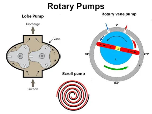 Rotary Pumps Rotary vane pump Scroll pump