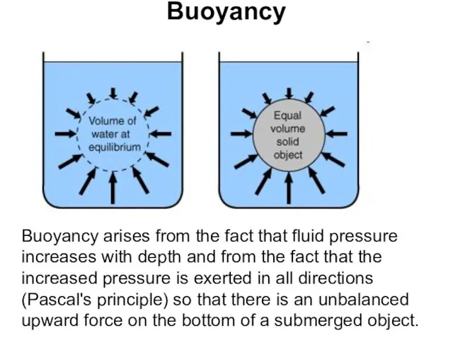 Buoyancy Buoyancy arises from the fact that fluid pressure increases with