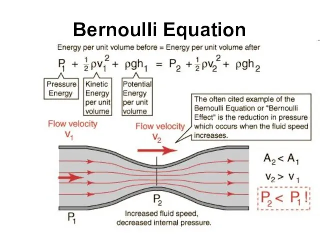 Bernoulli Equation