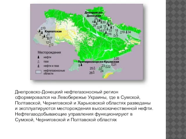 Днепровско-Донецкий нефтегазоносный регион сформировался на Левобережье Украины, где в Сумской, Полтавской,