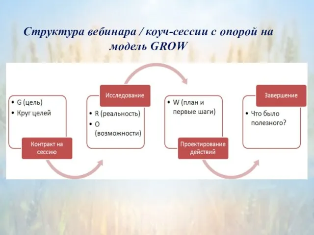 Структура вебинара / коуч-сессии с опорой на модель GROW