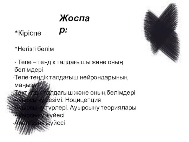 Жоспар: *Кіріспе *Негізгі бөлім - Тепе – теңдік талдағышы және оның