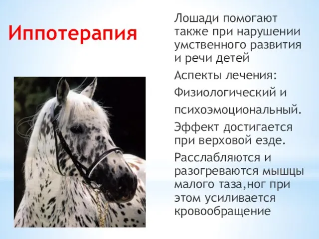 Иппотерапия Лошади помогают также при нарушении умственного развития и речи детей