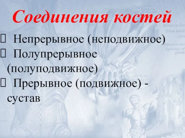 Соединения костей Непрерывное (неподвижное) Полупрерывное (полуподвижное) Прерывное (подвижное) - сустав