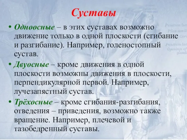 Суставы Одноосные – в этих суставах возможно движение только в одной