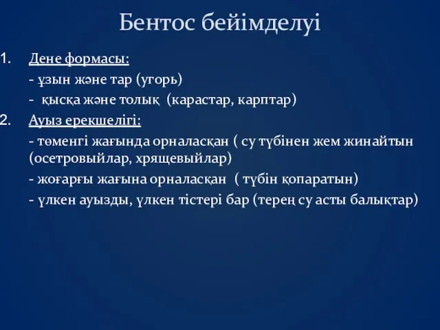 Бентос бейімделуі Дене формасы: - ұзын және тар (угорь) - қысқа