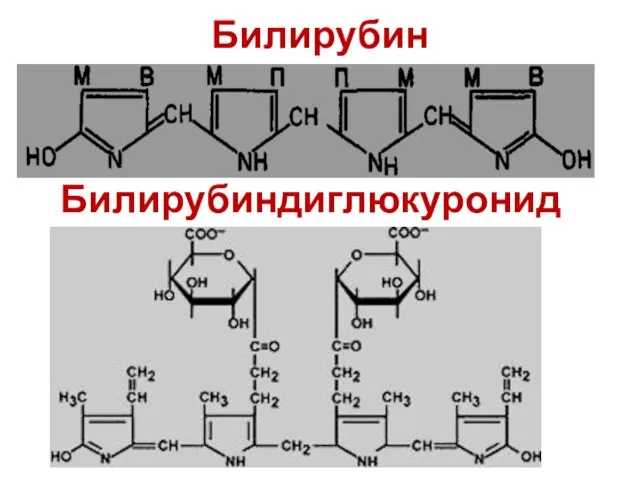 Билирубин Билирубиндиглюкуронид