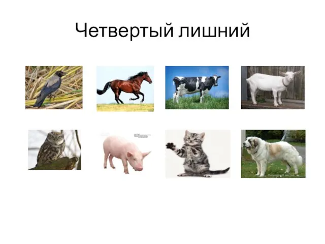 Четвертый лишний