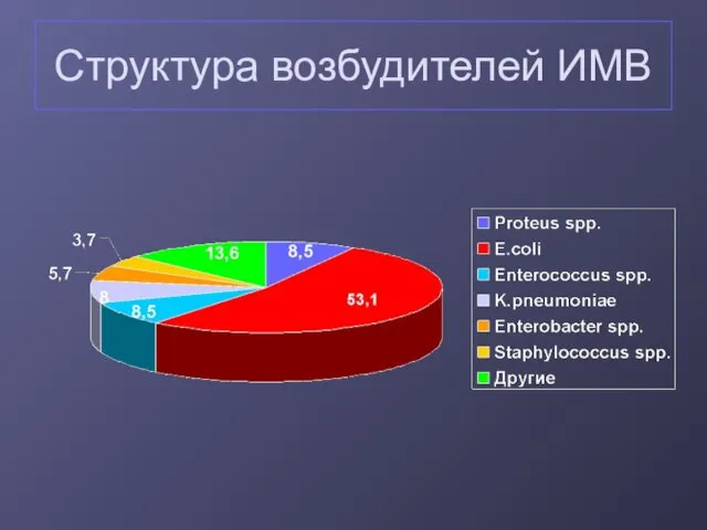 Структура возбудителей ИМВ