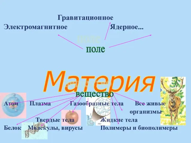 Гравитационное Электромагнитное Ядерное... Атом Плазма Газообразные тела Все живые организмы Твердые