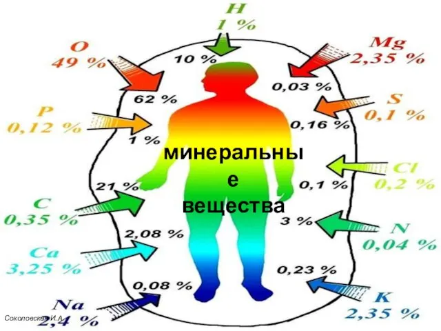 минеральные вещества Соколовская И.А.