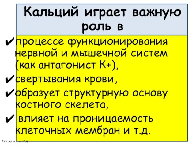 Кальций играет важную роль в процессе функционирования нервной и мышечной систем