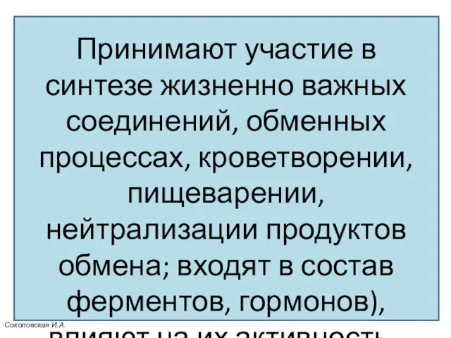 Принимают участие в синтезе жизненно важных соединений, обменных процессах, кроветворении, пищеварении,