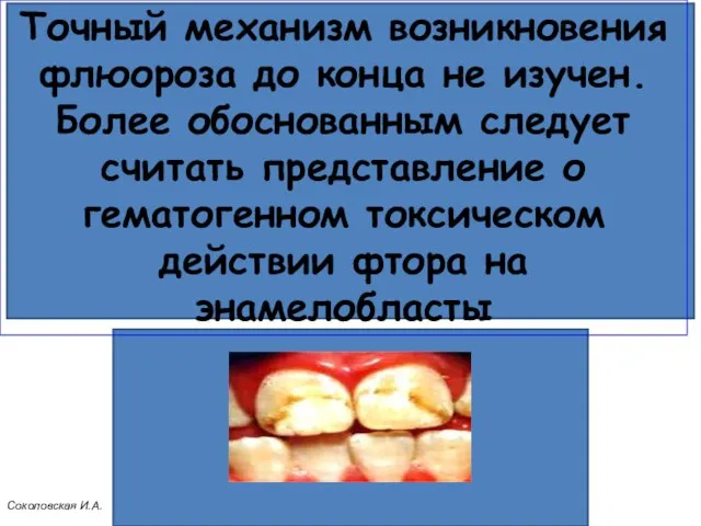 Точный механизм возникновения флюороза до конца не изучен. Более обоснованным следует