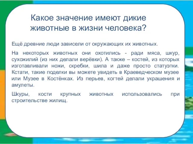 Какое значение имеют дикие животные в жизни человека? Ещё древние люди