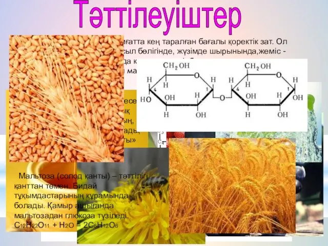 Тәттілеуіштер Глюкоза – табиғатта кең таралған бағалы қоректік зат. Ол өсімдіктердің