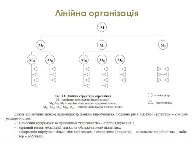 Лінійна організація