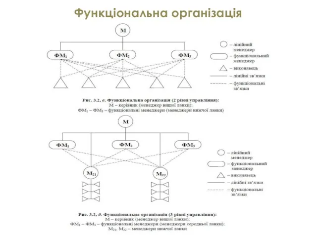 Функціональна організація