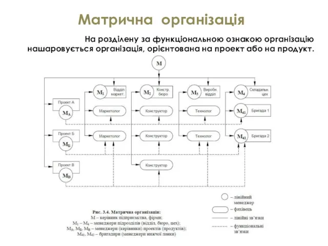 Матрична організація На розділену за функціональною ознакою організацію нашаровується організація, орієнтована на проект або на продукт.