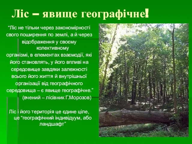 Ліс – явище географічне! “Ліс не тільки через закономірності свого поширення