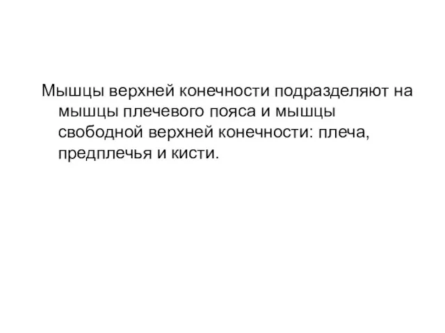 Мышцы верхней конечности подразделяют на мышцы плечевого пояса и мышцы свободной