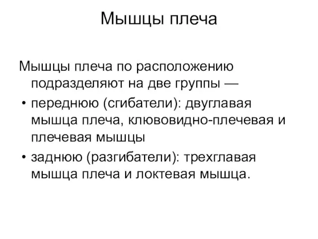 Мышцы плеча Мышцы плеча по расположению подразделяют на две группы —