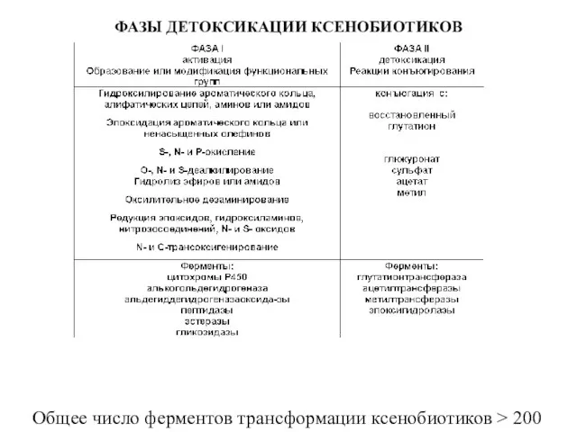 ФАЗЫ ДЕТОКСИКАЦИИ КСЕНОБИОТИКОВ Общее число ферментов трансформации ксенобиотиков > 200