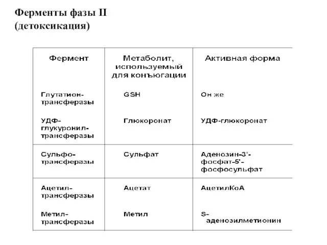 Ферменты фазы II (детоксикация)