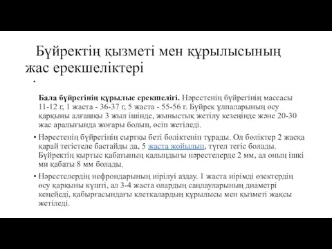 Бүйректің қызметі мен құрылысының жас ерекшеліктері Бала бүйрегінің құрылыс ерекшелігі. Нәрестенің