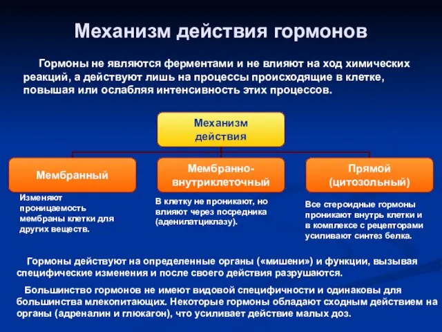 Механизм действия гормонов Гормоны не являются ферментами и не влияют на