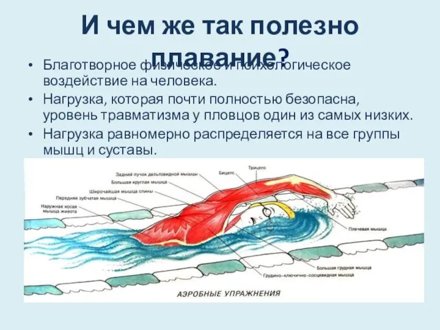 И чем же так полезно плавание? Благотворное физическое и психологическое воздействие