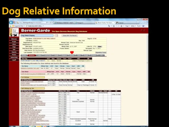 Dog Relative Information