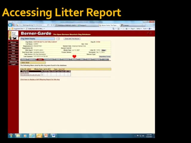 Accessing Litter Report