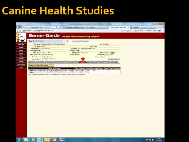 Canine Health Studies