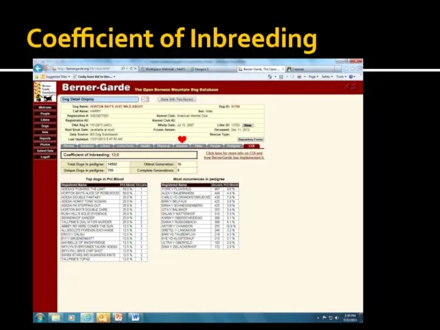 Coefficient of Inbreeding