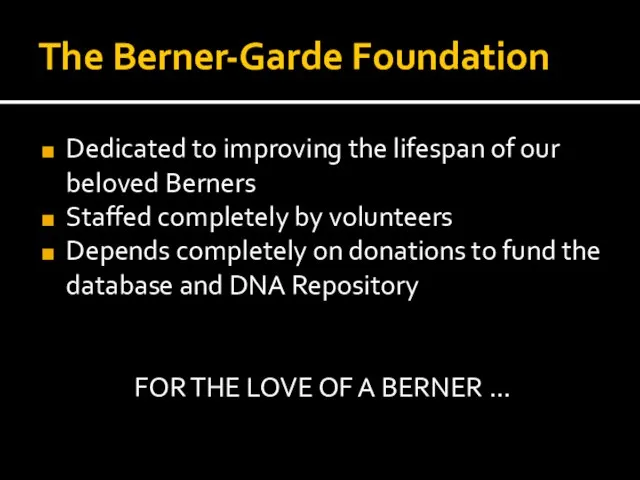 The Berner-Garde Foundation Dedicated to improving the lifespan of our beloved