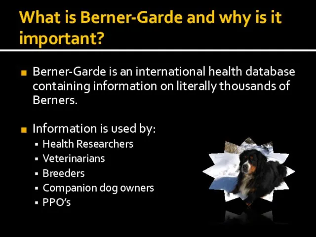 What is Berner-Garde and why is it important? Berner-Garde is an