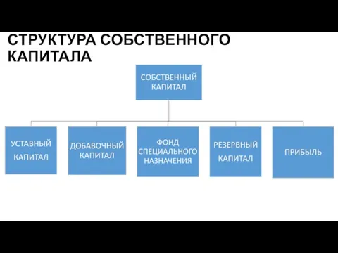 СТРУКТУРА СОБСТВЕННОГО КАПИТАЛА