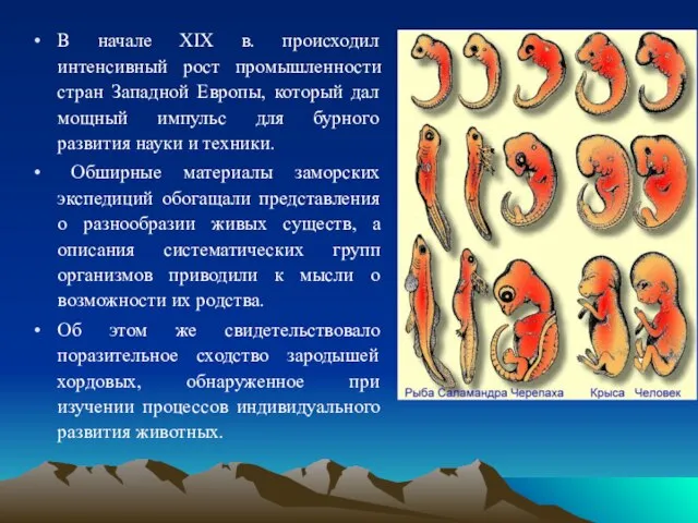 В начале XIX в. происходил интенсивный рост промышленности стран Западной Европы,