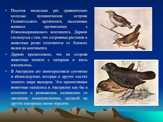 Посетив несколько раз сравнительно молодые вулканические острова Галапагосского архипелага, заселенные живыми